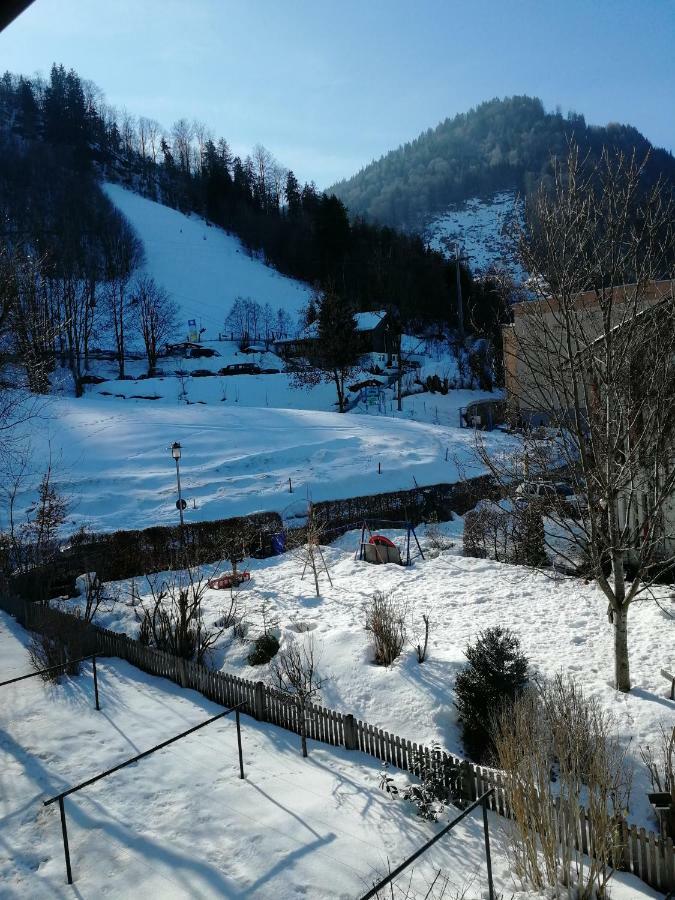 Ferienwohnung Elsa Immenstadt im Allgäu Dış mekan fotoğraf